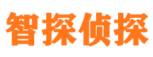 平武捉小三公司